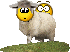 :sheepshag: